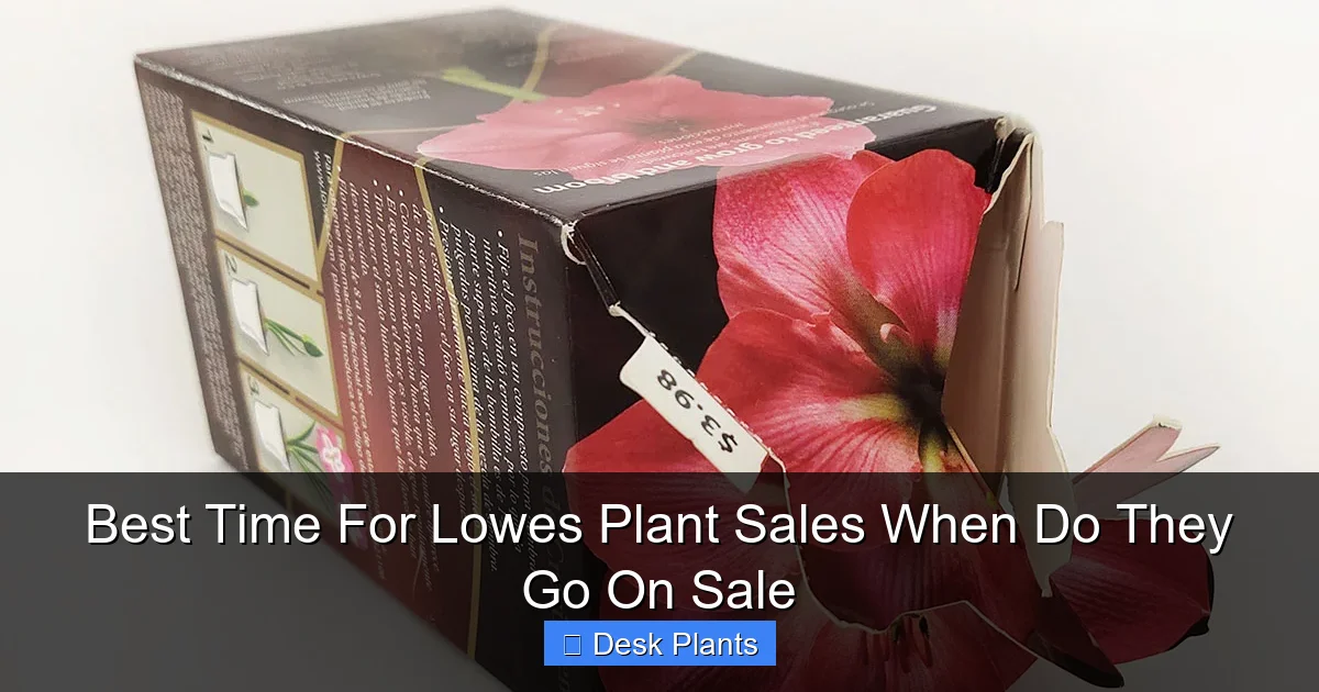 Best Time For Lowes Plant Sales When Do They Go On Sale