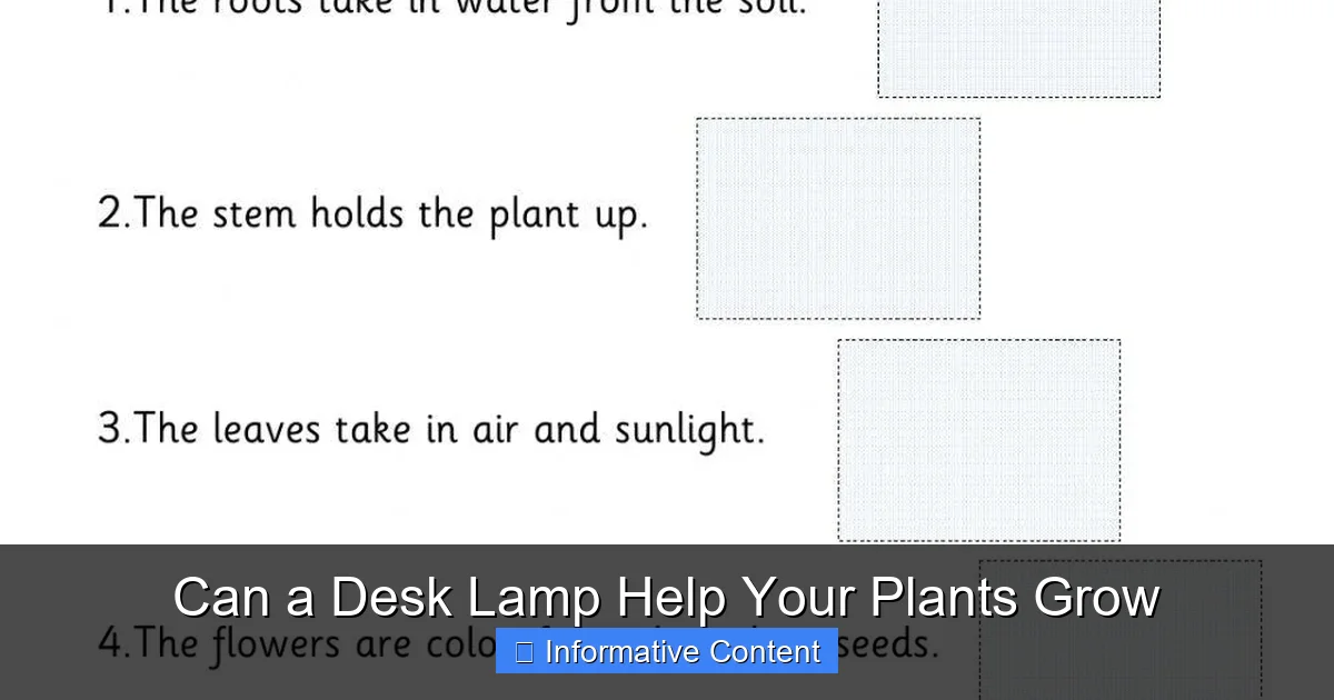 Can a Desk Lamp Help Your Plants Grow
