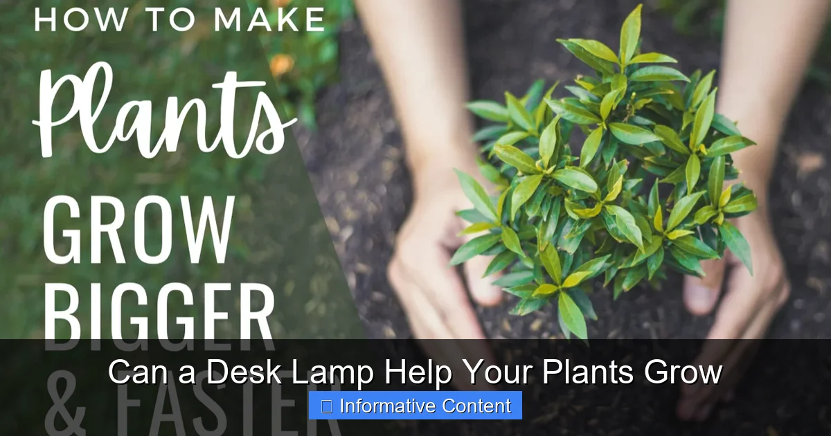 Can a Desk Lamp Help Your Plants Grow