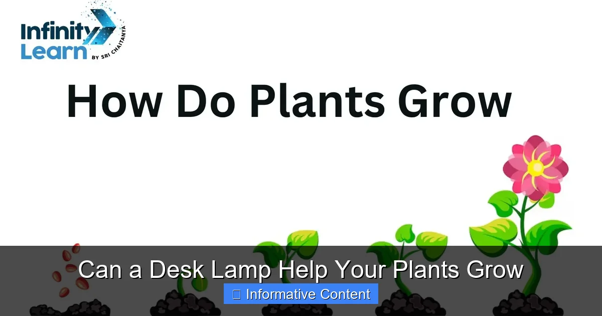Can a Desk Lamp Help Your Plants Grow