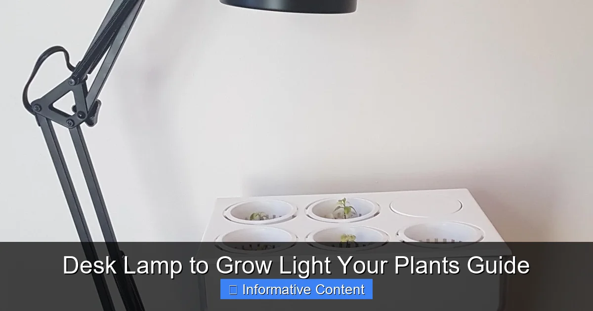 Desk Lamp to Grow Light Your Plants Guide