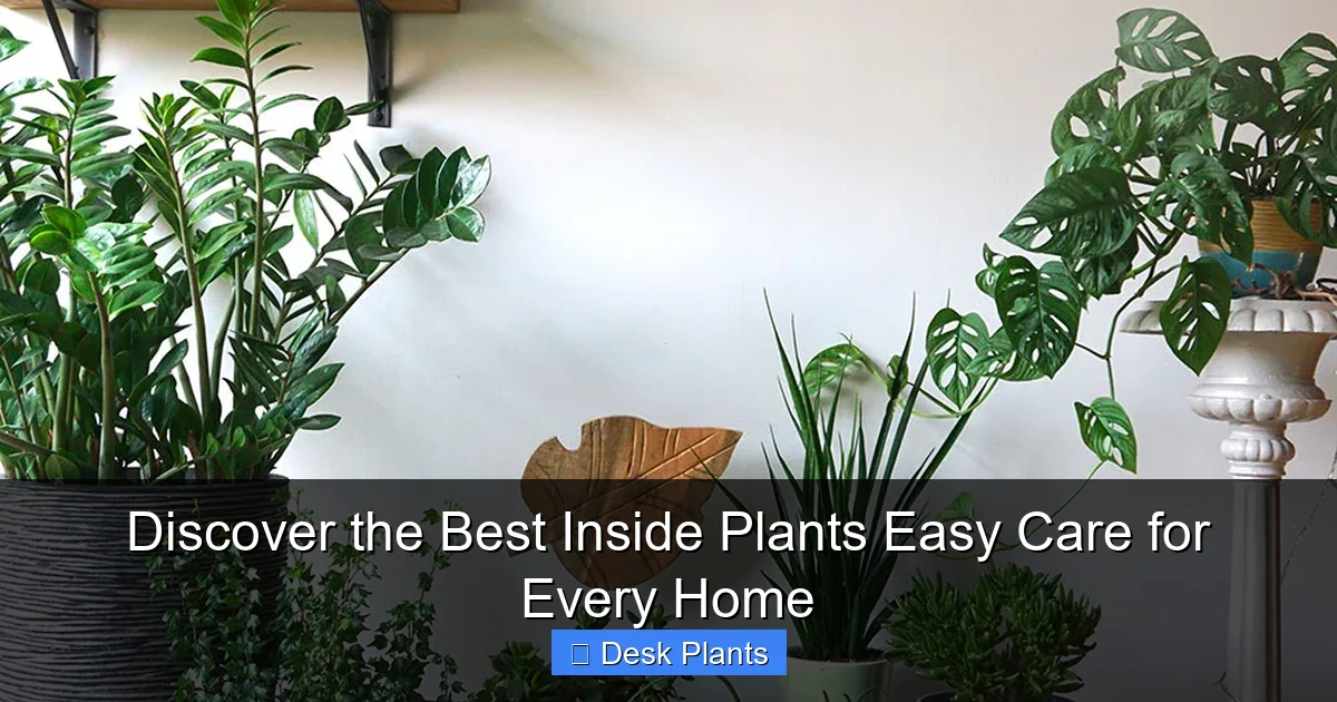 Discover the Best Inside Plants Easy Care for Every Home
