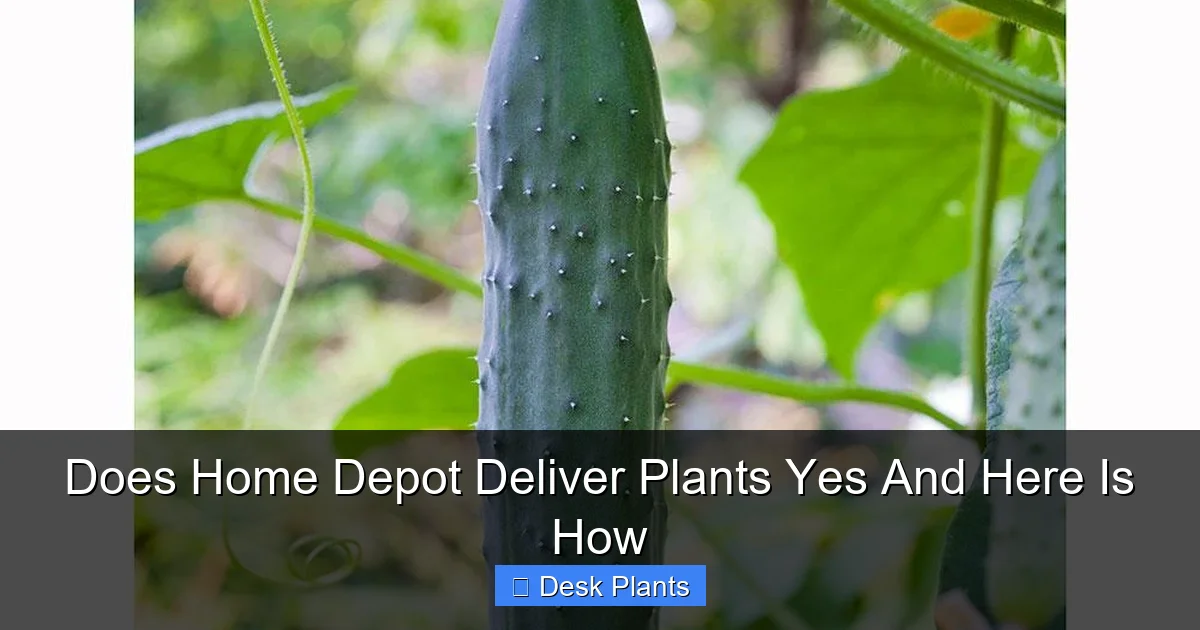 Does Home Depot Deliver Plants Yes And Here Is How
