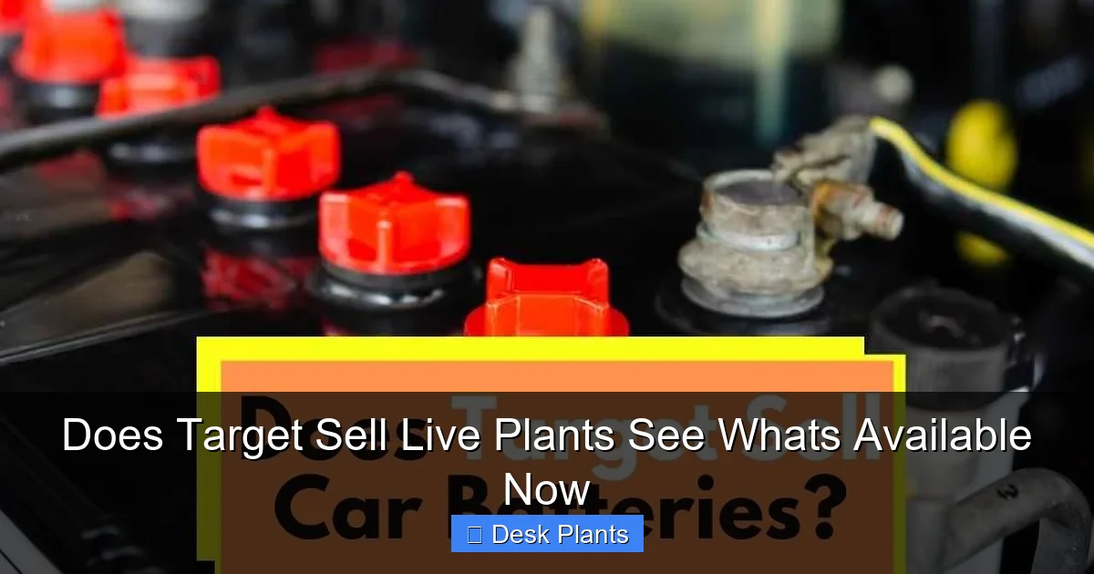 Does Target Sell Live Plants See Whats Available Now