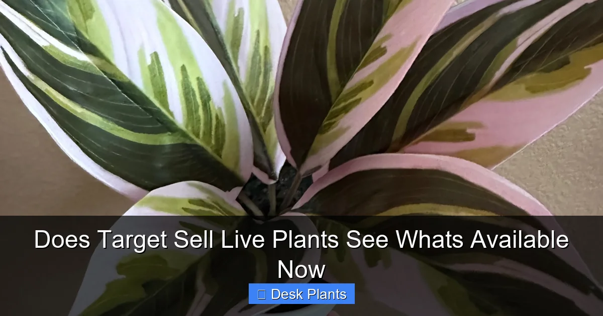 Does Target Sell Live Plants See Whats Available Now