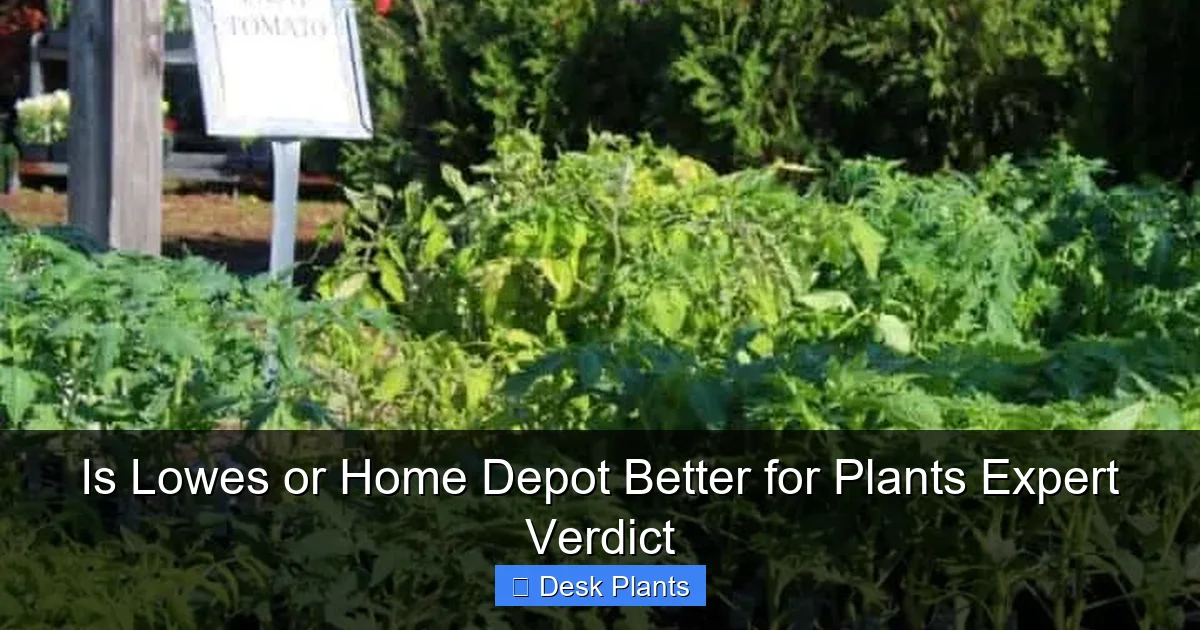 Is Lowes or Home Depot Better for Plants Expert Verdict