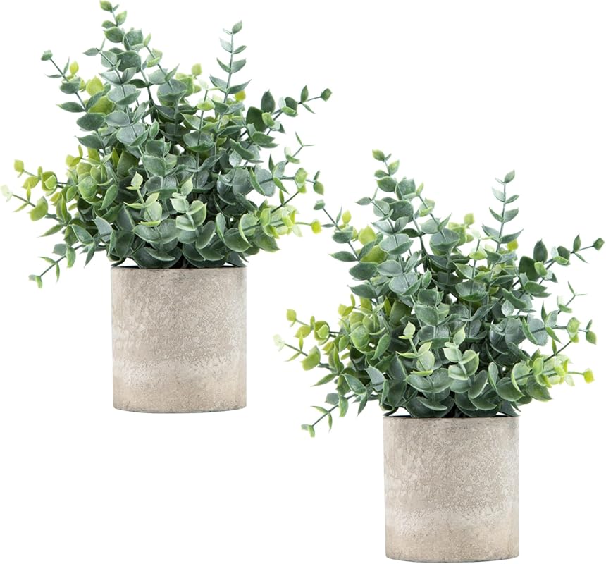 Small artificial eucalyptus plants in pots for desk and home decor in