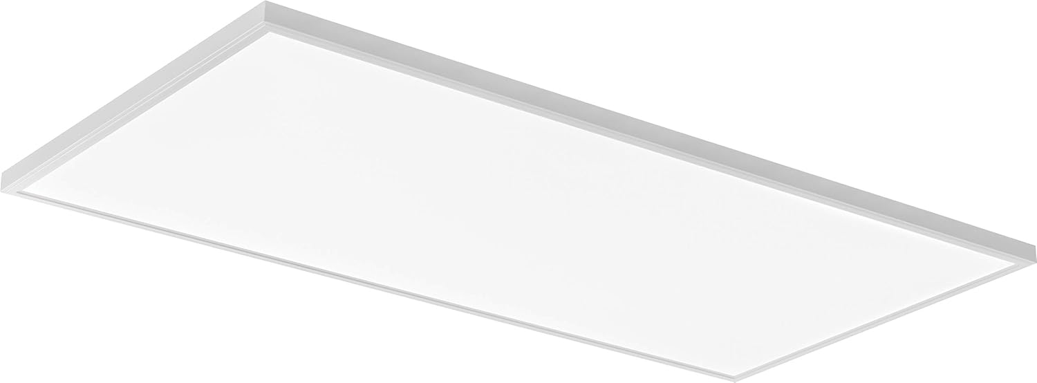 Lithonia Lighting 2x4 LED Flat Panel Light with 4000 Lumens and Switch