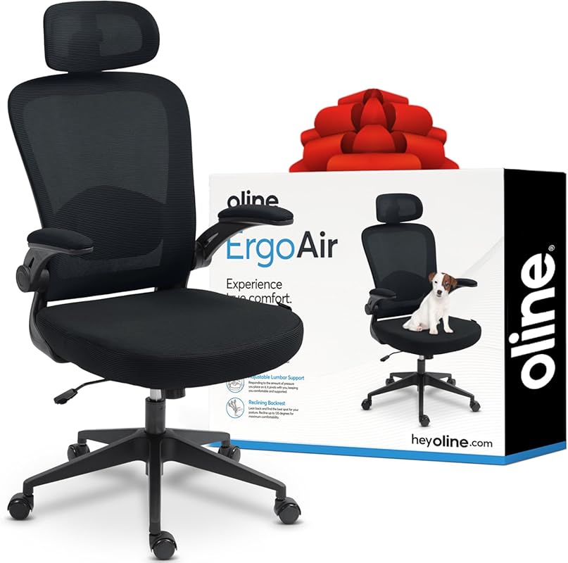 Oline ErgoAir Mesh Ergonomic Office Chair with Adjustable Lumbar Suppo