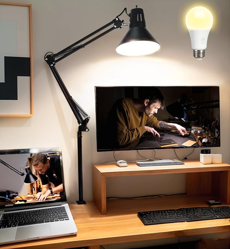 Eye-Caring Adjustable LED Desk Lamp with Clamp, Metal Swing Arm, and F