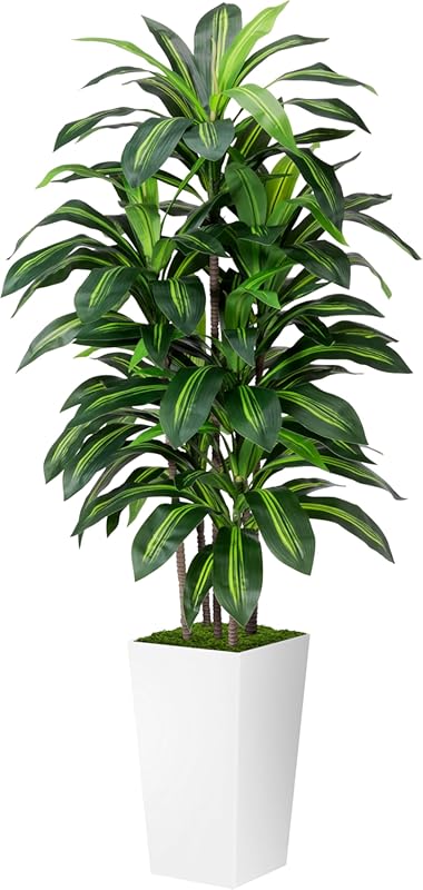 Artificial Dracaena Plant in White Tall Planter for Indoor Home or Off