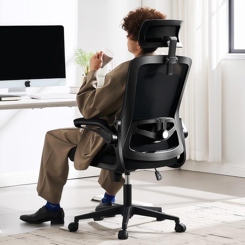 Fizzin Ergonomic Office Chair with Breathable Mesh Back Adjustable Lum