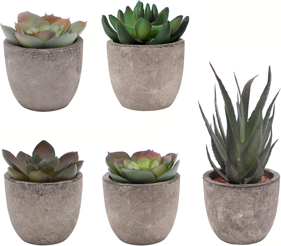 Set of five artificial succulent plants in pots for low-maintenance de