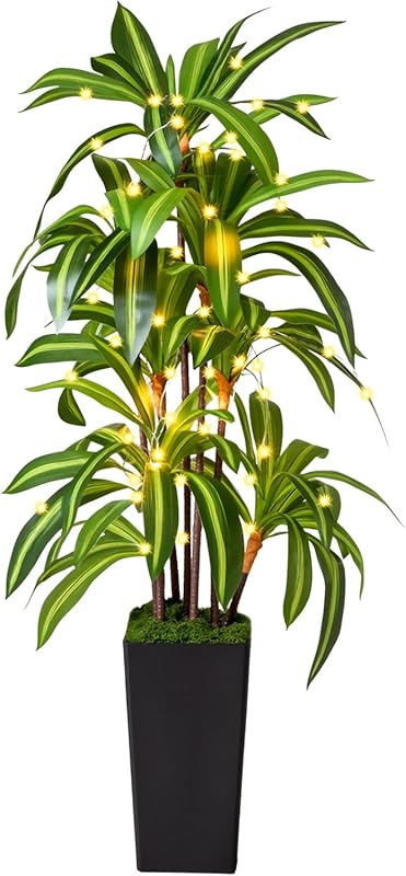5-Foot Artificial Dracaena Tree in a Black Tall Planter for Office or