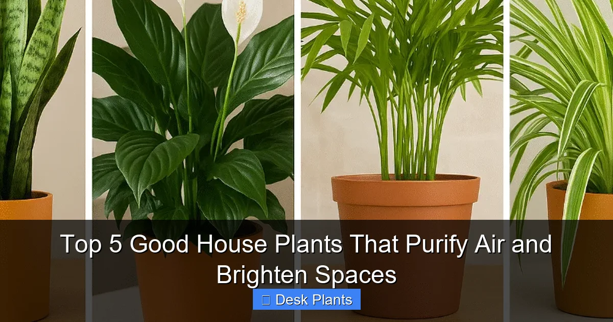 Top 5 Good House Plants That Purify Air and Brighten Spaces