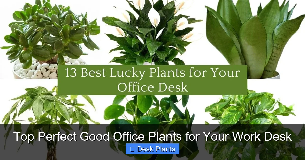 Top Perfect Good Office Plants for Your Work Desk