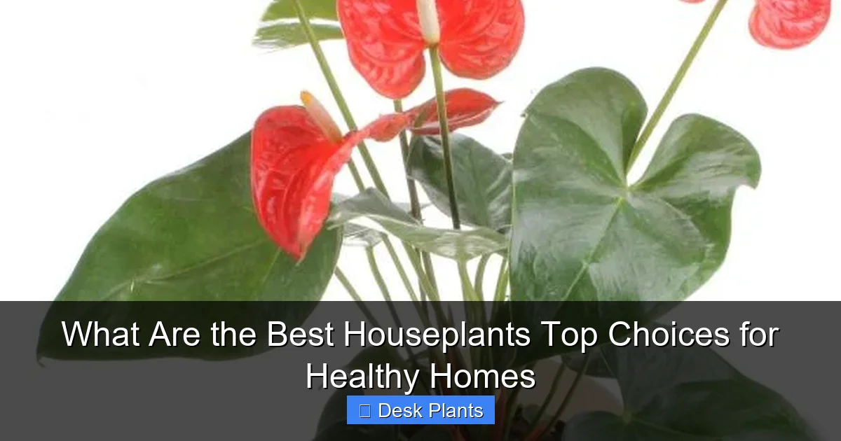 What Are the Best Houseplants Top Choices for Healthy Homes