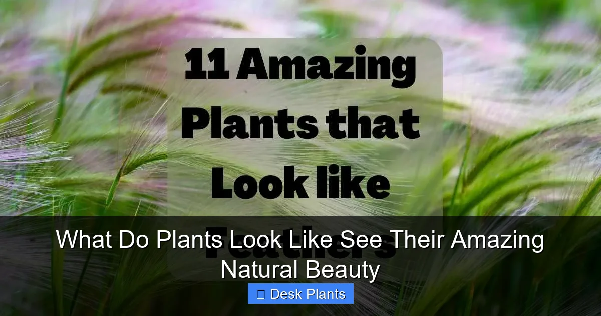 What Do Plants Look Like See Their Amazing Natural Beauty