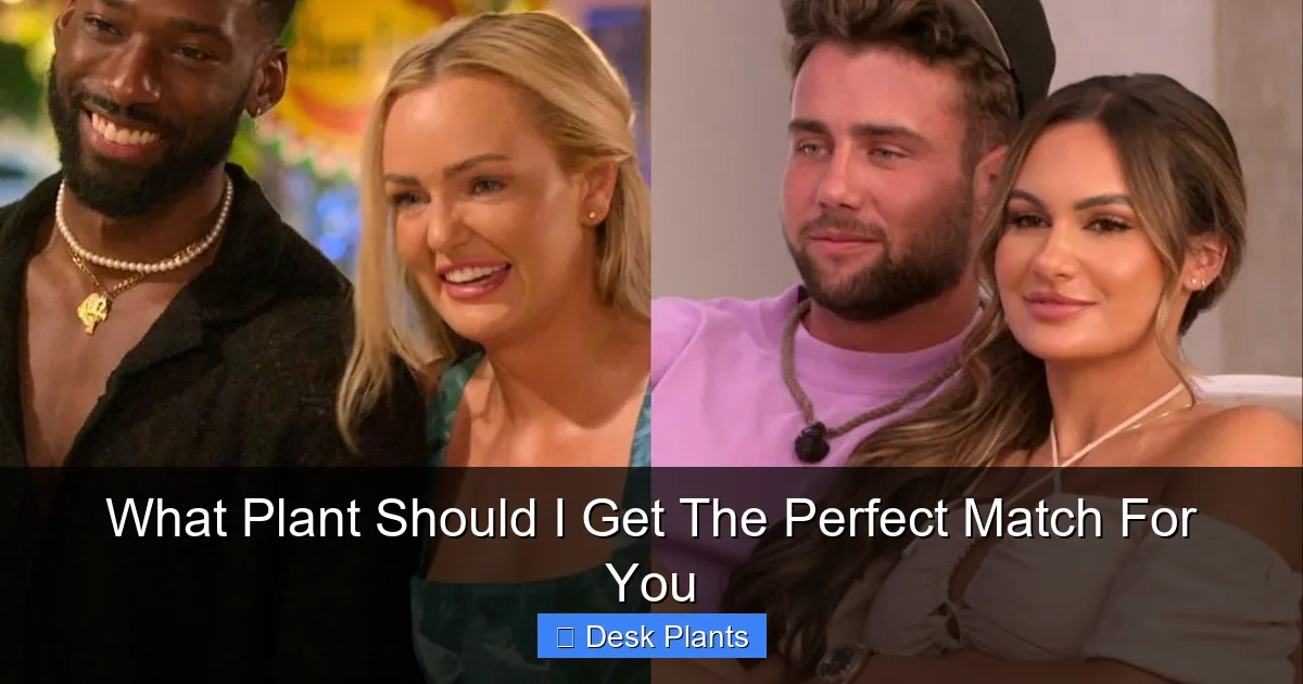 What Plant Should I Get The Perfect Match For You