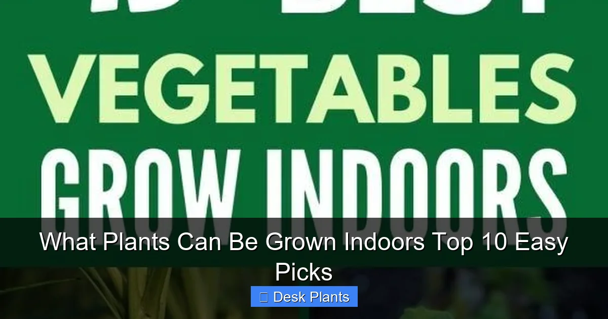 What Plants Can Be Grown Indoors Top 10 Easy Picks