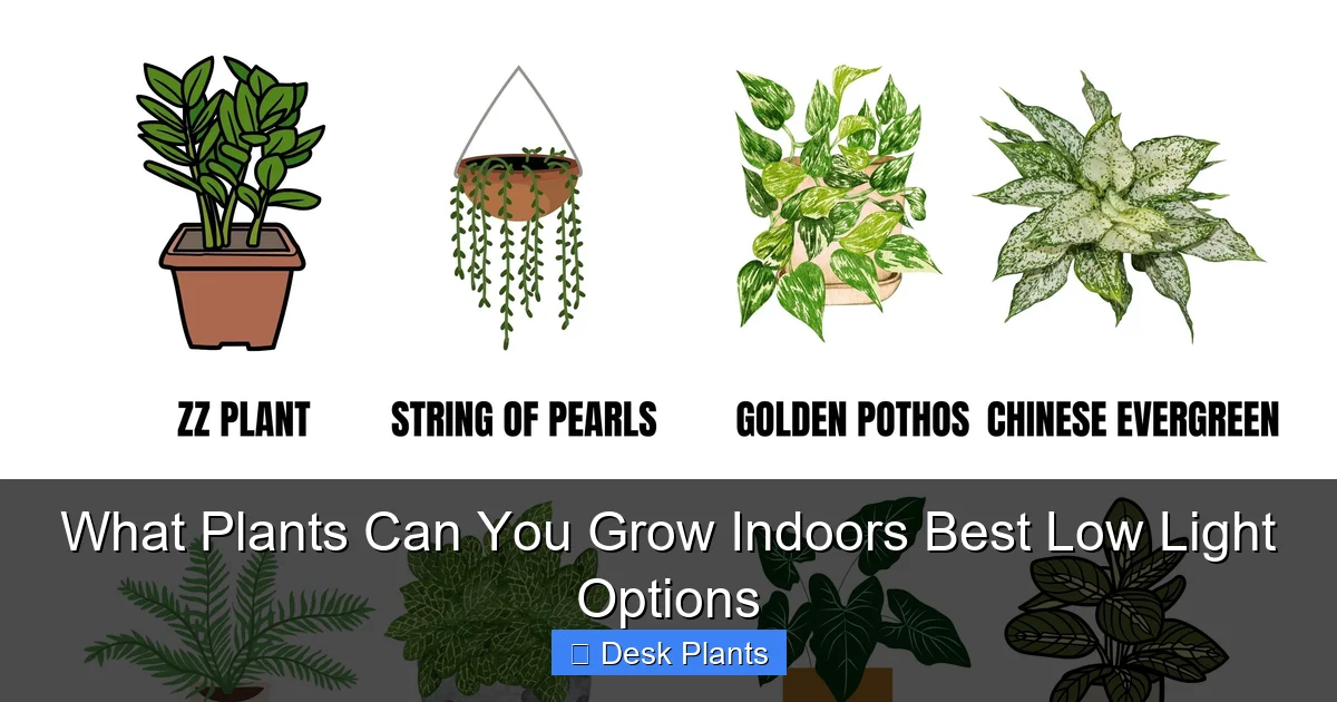 What Plants Can You Grow Indoors Best Low Light Options