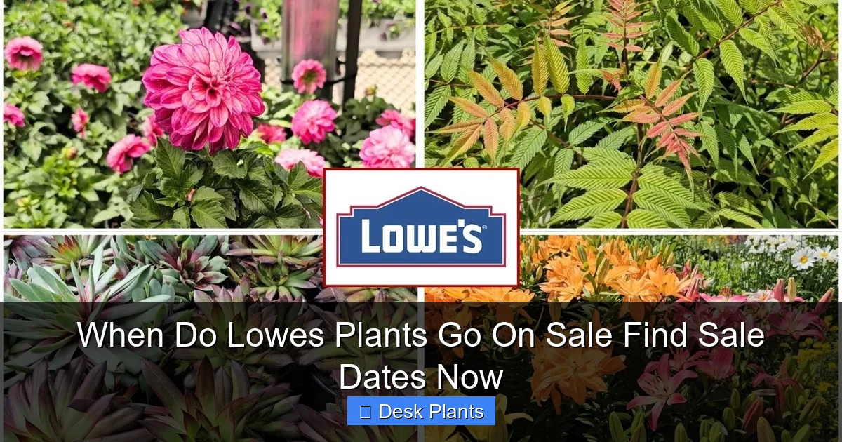 When Do Lowes Plants Go On Sale Find Sale Dates Now