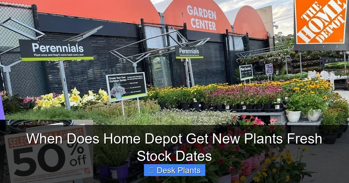 When Does Home Depot Get New Plants Fresh Stock Dates