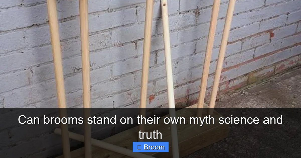Can brooms stand on their own myth science and truth