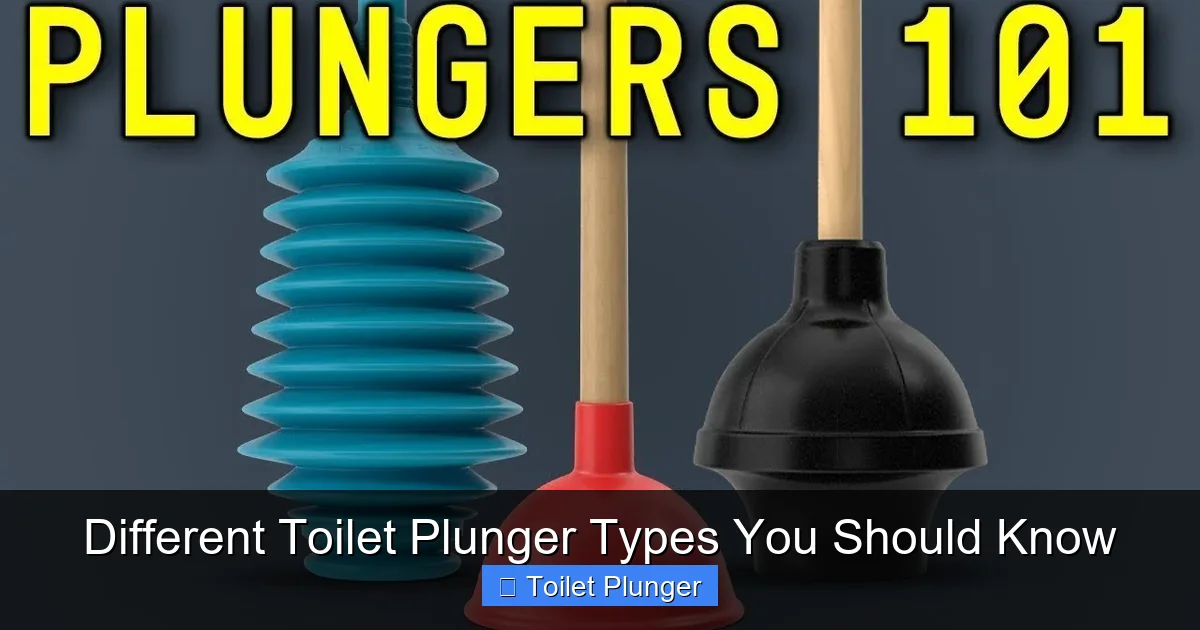 Different Toilet Plunger Types You Should Know