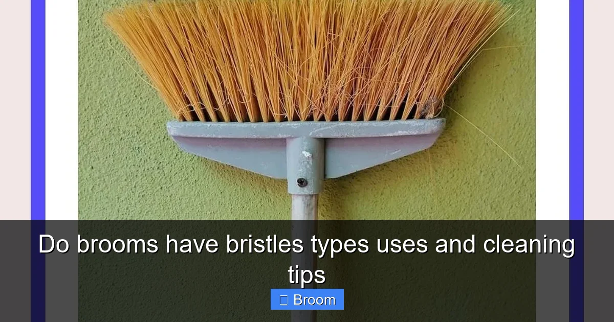 Do brooms have bristles types uses and cleaning tips