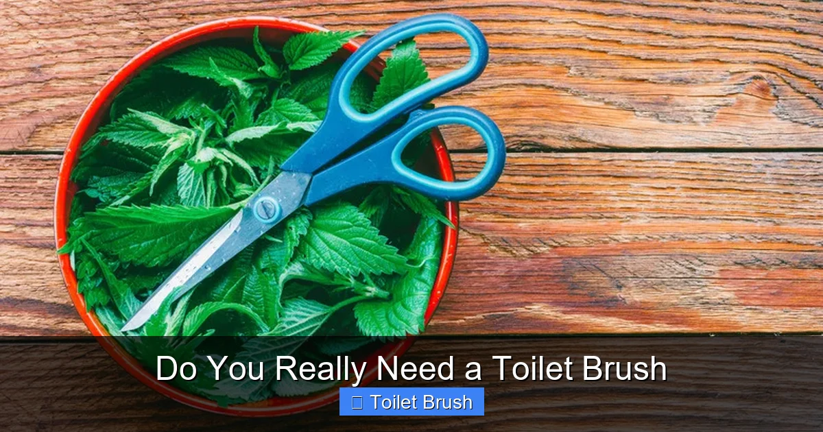 Do You Really Need a Toilet Brush