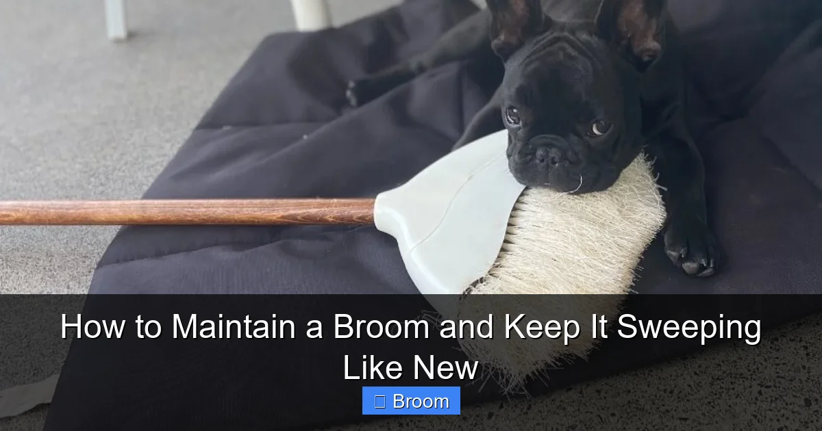How to Maintain a Broom and Keep It Sweeping Like New