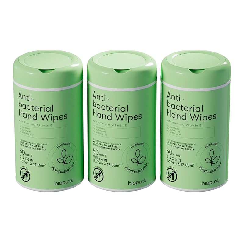 Biopure Antibacterial Hand Wipes Morning Breeze with Aloe and Vitamin
