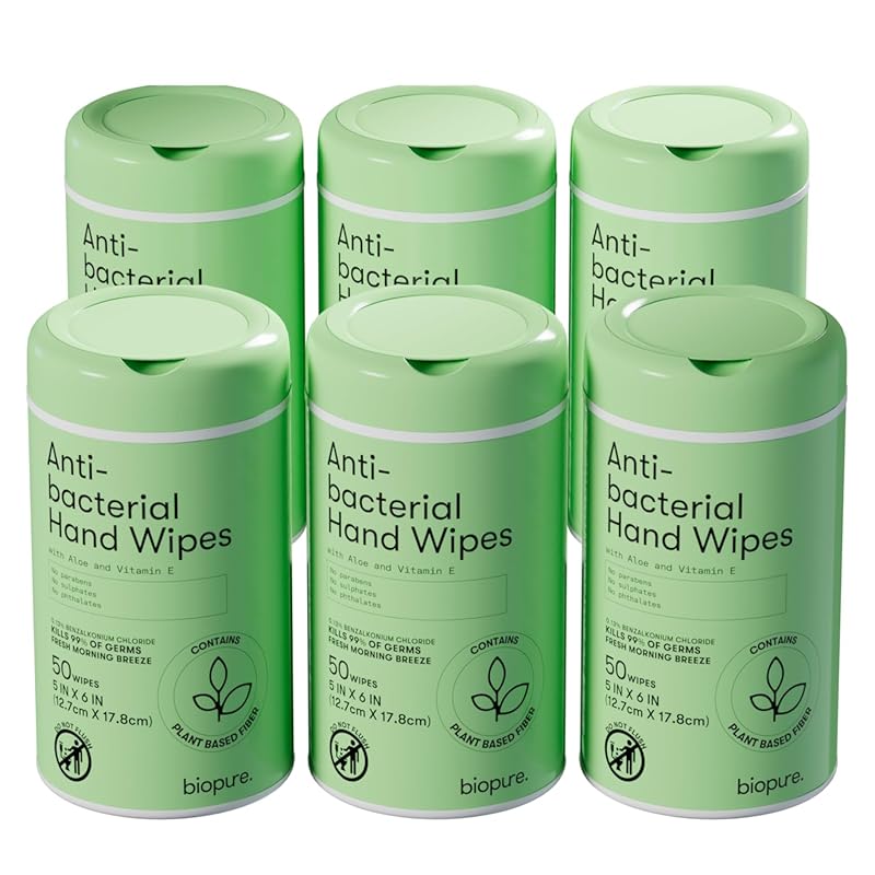 Biopure Antibacterial Hand Wipes Morning Breeze with Aloe and Vitamin