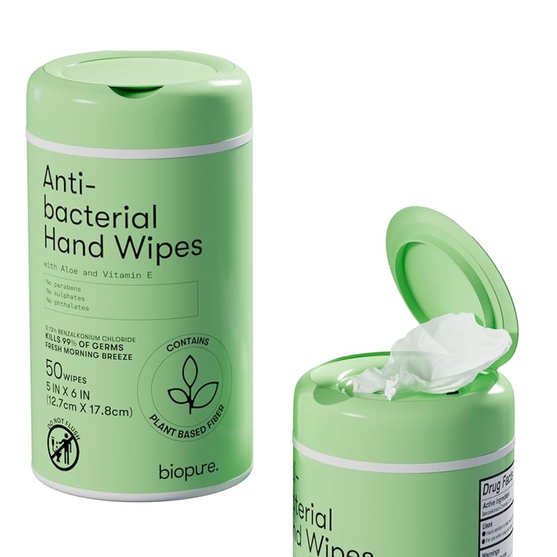 Biopure Antibacterial Hand Wipes Morning Breeze with Aloe and Vitamin