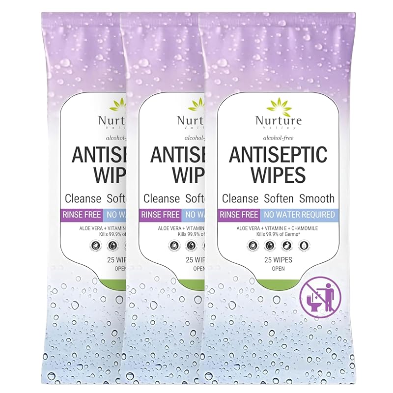 Nurture XL Antibacterial Body and Hand Wipes, Alcohol-Free Skin Saniti