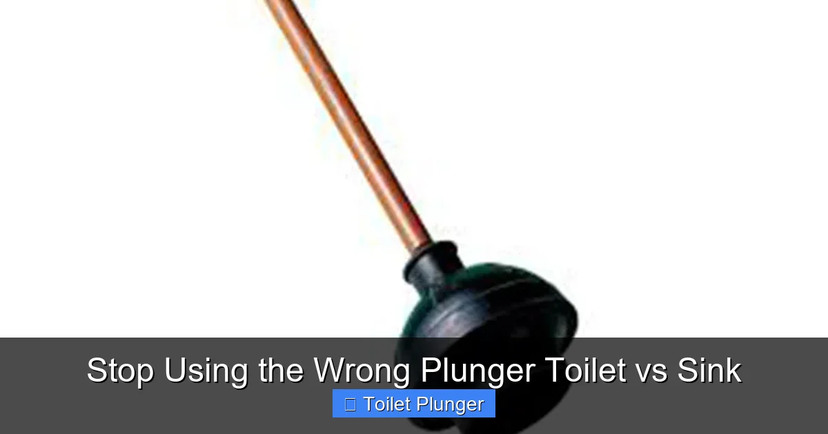 Stop Using the Wrong Plunger Toilet vs Sink