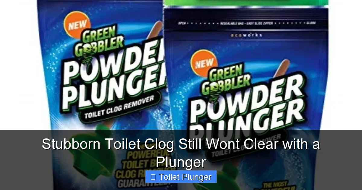 Stubborn Toilet Clog Still Wont Clear with a Plunger