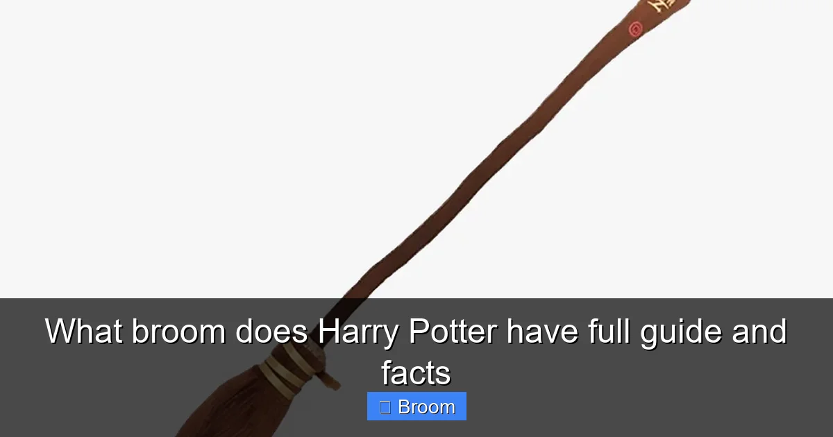 What broom does Harry Potter have full guide and facts