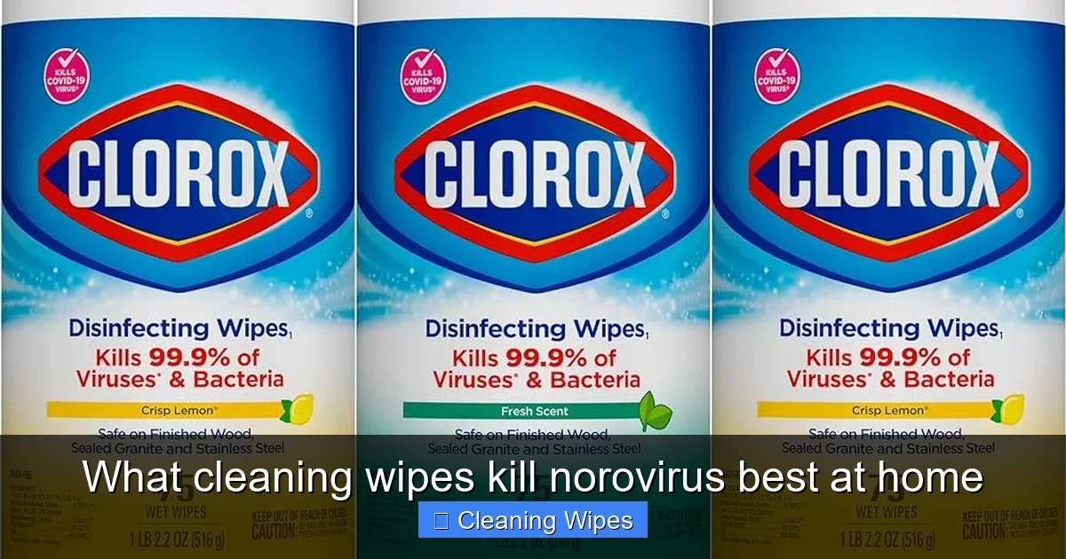What cleaning wipes kill norovirus best at home