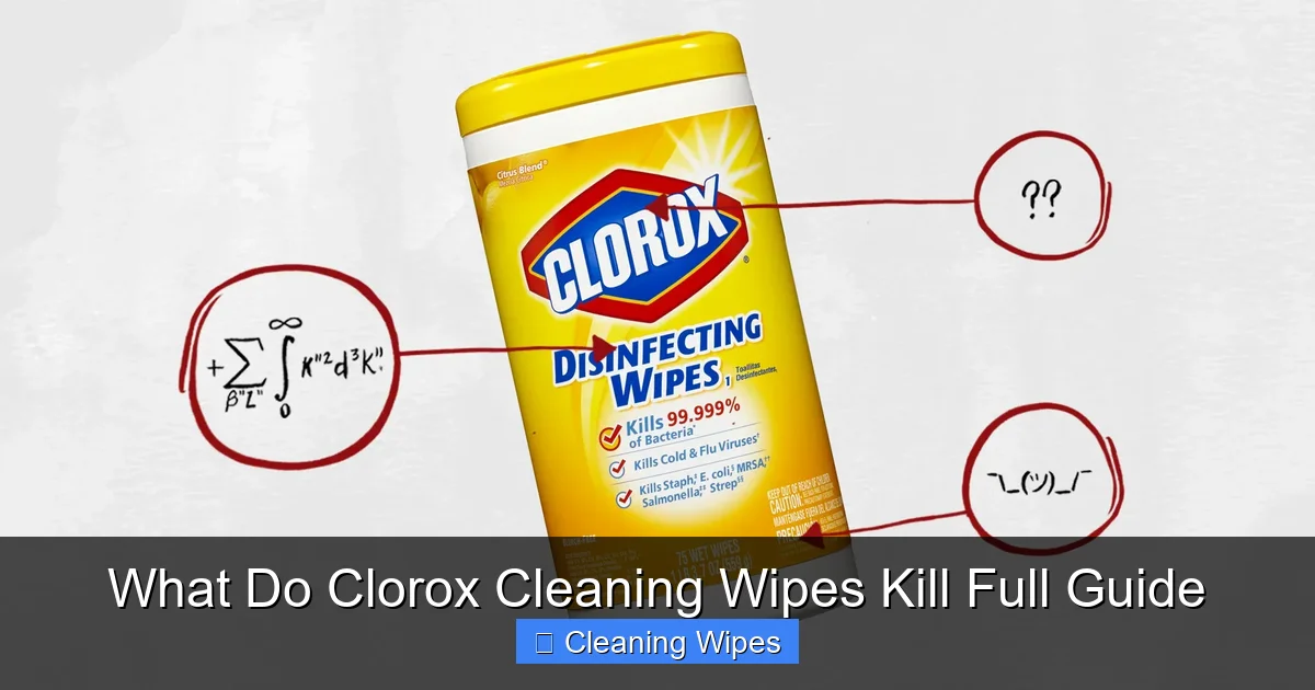 What Do Clorox Cleaning Wipes Kill Full Guide