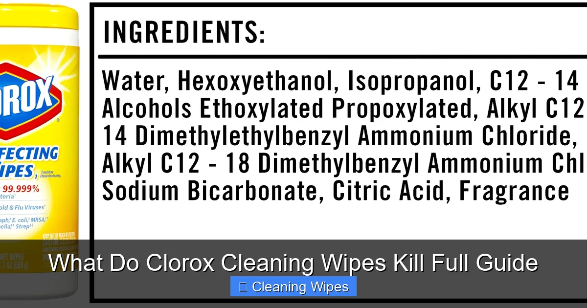 What Do Clorox Cleaning Wipes Kill Full Guide