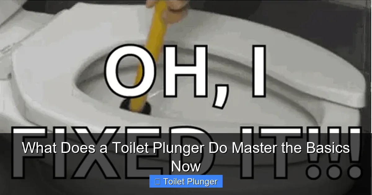 What Does a Toilet Plunger Do Master the Basics Now