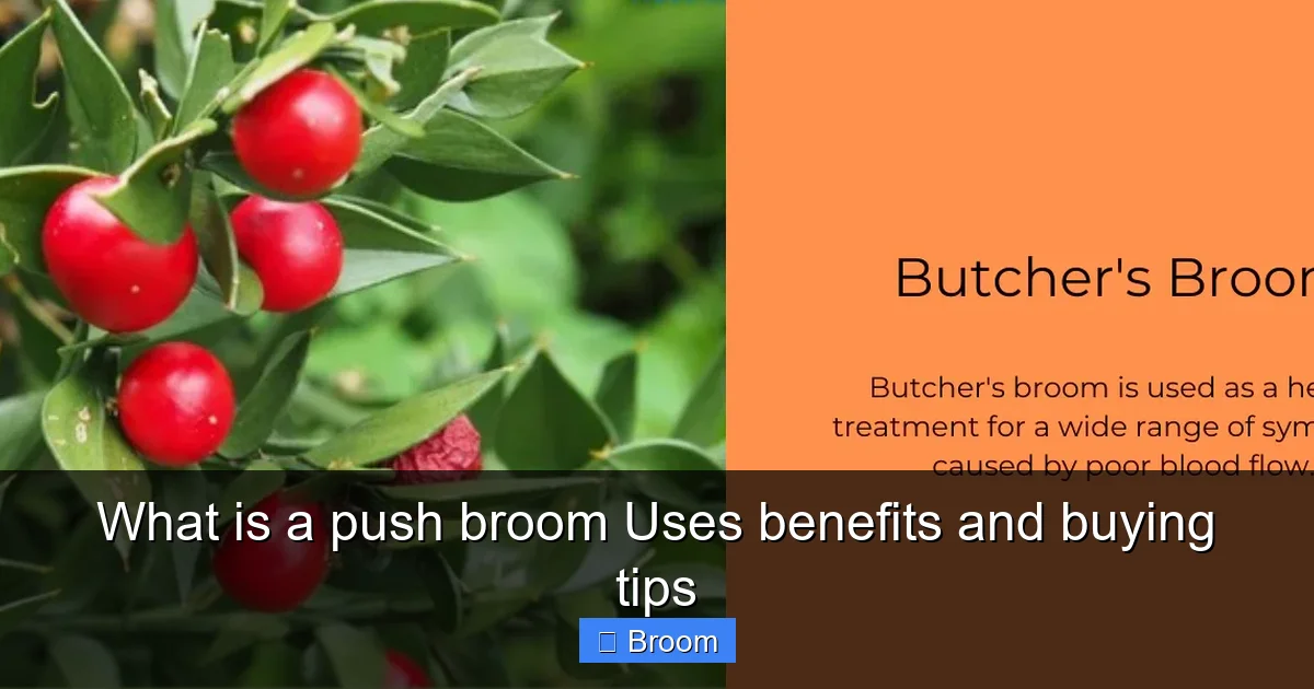 What is a push broom Uses benefits and buying tips