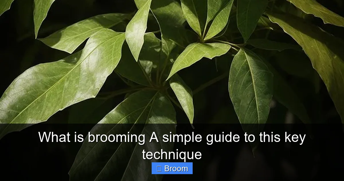 What is brooming A simple guide to this key technique