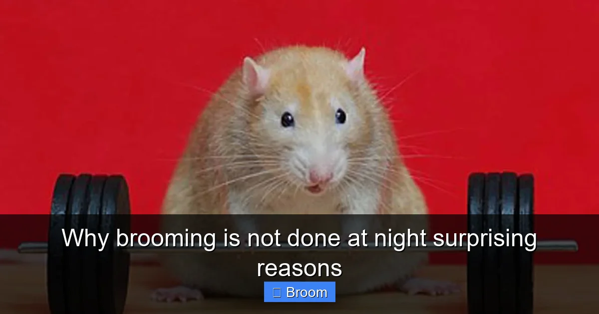 Why brooming is not done at night surprising reasons